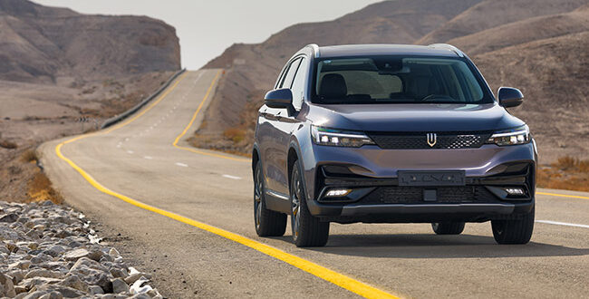 השוואת דגמים פופולריים